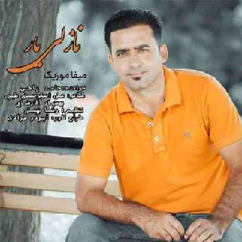حامد پناهی نازلی یار